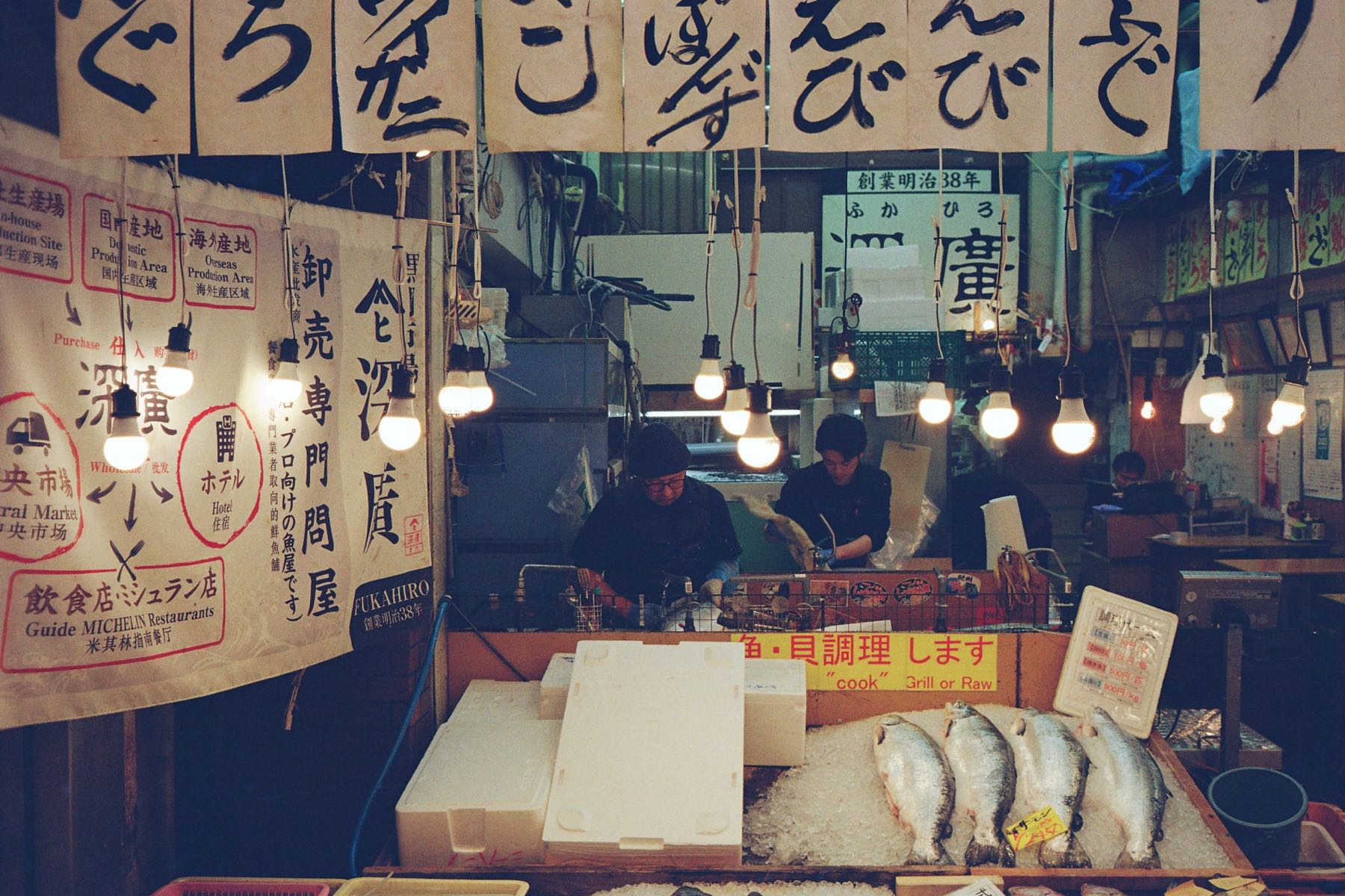 Fishing Lights